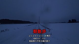 雨が降る大晦日の朝「朝散歩」【えびてつチャンネル】