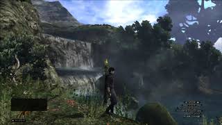 DDON お散歩 エラン水林