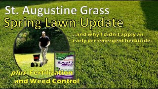 Spring Lawn Update and Scotts Bonus S Weed and Feed Application - St. Augustine Grass