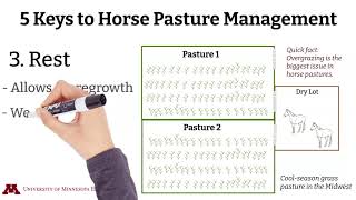 The Five Keys to Horse Pasture Management