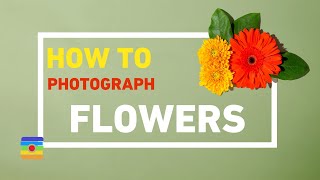 How to Photograph Flowers by B\u0026C Camera