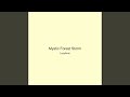 Mystic Forest Storm