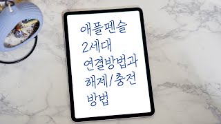 애플펜슬 2세대의 연결방법과 충전방법 살펴보기