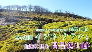 まほろば跋渉記#63　鈴鹿山脈　苔の庭園イブネ・クラシと山腹に眠る高昌鉱山跡