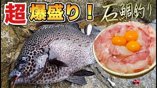 【爆盛り】釣った魚で豪華海鮮丼【魚のさばき方】飯テロ 大食い 石鯛釣り sushi sashimi japanesefood