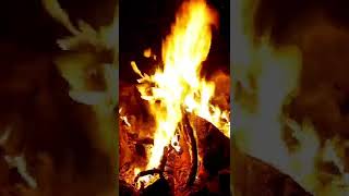 The Perfect Campfire Sounds to Relax your Mind, Sleep, and Meditate - Crackling Fire Sounds