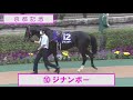 【競馬パドック】京都記念（2021年）前走パドック