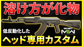 【CoD:MW2】予想外の強さ！AKのヘッドショット専用カスタムでまさかの大量キルか!?(KASTOV762)【ぐっぴー】CoD:Modern Warfare ll