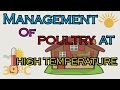 POULTRY FARMING ||MANAGEMENT OF POULTRY AT HIGH TEMPERATURE