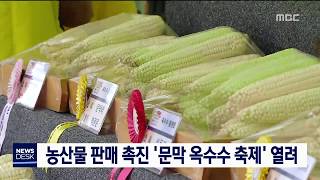 2019. 7. 13 [원주MBC] 농산물 판매 촉진 '문막 옥수수 축제' 열려