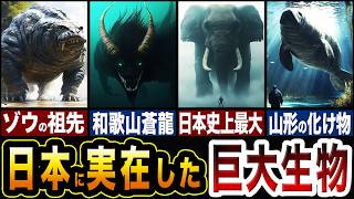 日本に実在した巨大生物が恐ろしすぎる…第二弾!!古代の巨大生物5選!!【ゆっくり解説】