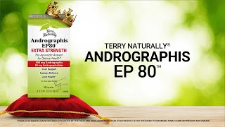 Andrographis EP80™ with Terry