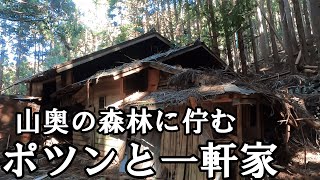 【探索】山奥の森林に佇むポツンと一軒家