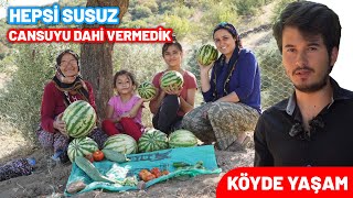 HİÇ SU VERMEDEN MAHSÜL YETİŞİR Mİ ? SUSUZ KARPUZ NASIL YETİŞİR? KÖYDE YAŞAM | KÖY HAYATI KÖYDE HAYAT