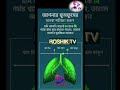 এখনই জেনে নিন আপনার ফুসফুসের অবস্থা। find out the condition of your lungs now.