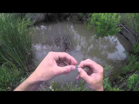 Gar Fishing with Artificial Lures Gar Fishing with Artificial Lures