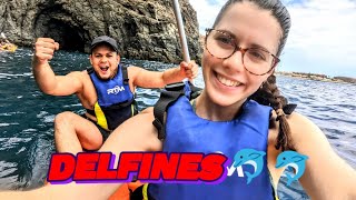 Día 9 - ¡Encontramos delfines haciendo kayak! | Explorando Tenerife!