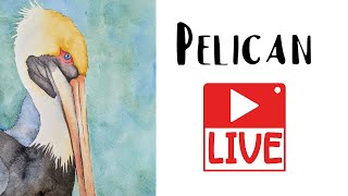 LIVE - Pelican - Live Watercolor Painting