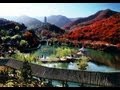 Explore Friendly Shandong