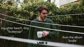 Slaughter Beach, Dog - Buttercup