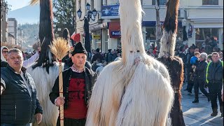 Старчевата Вроше 01.01.2023г