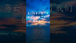 每日一句愛情語錄 浪漫愛情語錄分享 心動的愛情句子 愛的名言 EP 7 #shorts #浪漫 #感情語錄 #心動 #傷感語錄