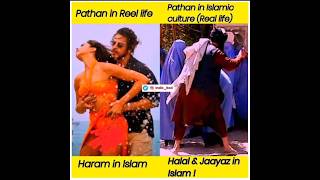 This Is The Reality Of PATHANS || Boycott Pathan || Boycott Shah Rukh Khan || #trending #shorts