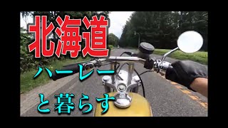 【北海道ハーレーライフ】ハーレーを通勤に使う男  #1タイヤの皮むきを兼ねて遠回りで出勤