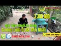 Máy Băm Chuối Đa Năng Thịnh Thành CL68 Cải Tiến Mới Nhất