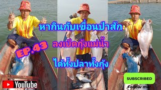 Ep.43 ลงเบ็ดกุ้งแม่น้ำได้ทั้งปลาได้ทั้งกุ้ง #fishing #ตกปลา #นั่งเรือตกปลา #หากินกับเขื่อนป่าสัก