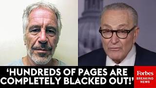 'There's A Massive Cover-Up': Chuck Schumer Accuses DOJ Of 'Abusing Redactions' In Epstein Files