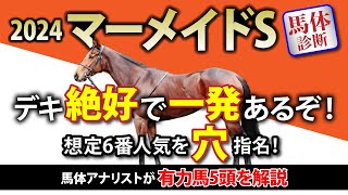 【マーメイドステークス 2024｜馬体診断】デキ『絶好』で『一発』あるぞ！　想定6番人気を『穴』指名！　馬体アナリストが有力馬5頭を解説