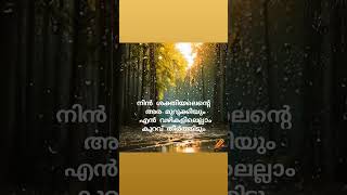 സ്വപ്നം കാണുമ്പോൾ വാതിലും വഴികളും karaoke with lyrics #malayalamchristiandevotionalsongs #songs