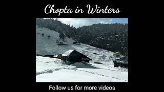 Chopta in Winters