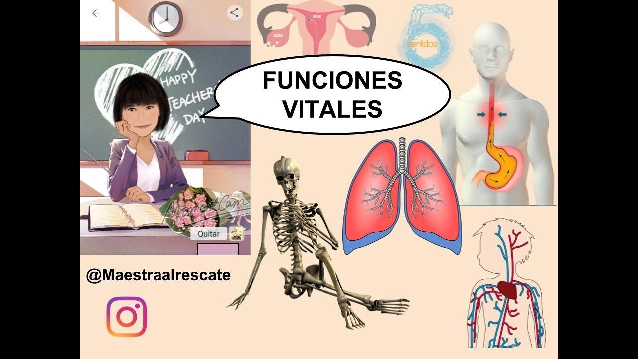 Funciones Vitales De Los Seres Humanos. Completo. Rosa♥ - YouTube