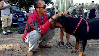 實拍狗市：給孩子買條狗玩，沒想到這狗太厲害，只好賣了它【劉哥在農村】