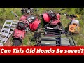 HONDA BIG RED SITTING 10 YEARS! WILL IT RUN AGAIN???