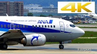 [4k] [飛行機動画] 福岡空港 B737 「JA306K」「JA333J」「JA305K」「JA07RK」「JA737U」