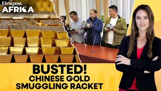 DR Congo: 3 Chinese Nationals Detained With Gold Bars, Thousands of Dollars | Firstpost Africa