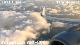 American 737-800 First Class | Atlanta (ATL) - Miami (MIA) - Trip Report