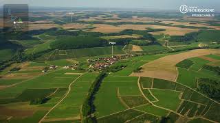 An overview of Chablis appellation