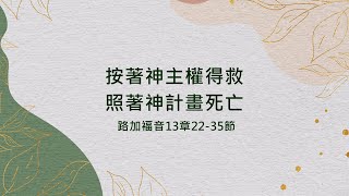 20220219 活潑的生命 / 路加福音13:22-35 / 碇內浸信會