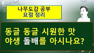 (요점 정리) 돌배나무 vs 산돌배 vs 배나무의  서로 다른 차이점을 요점 정리하였습니다.