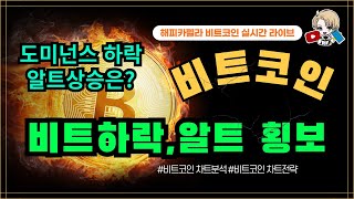 비트코인 실시간, 비트코인 하락 중, 알트코인 횡보! 도미넌스 하락 중!   2/17 점심💎#비트코인 #비트코인실시간 #이더리움 #리플 #cryptocurrency #차트분석