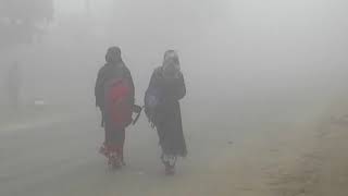 Meherpur Fog মেহেরপুরে আবারো ঘনকুয়াশা