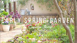 [Early spring flowering garden] Mid-March garden tour❀View of each flower bed [Gardening]