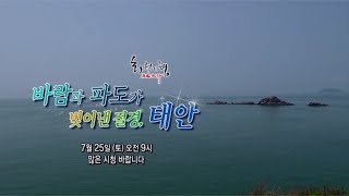 [화첩기행] 바람과 파도가 빚어낸 비경, 태안 (20.7.25)