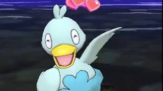 ポケリフレ　コアルヒーと戯れるだけの動画