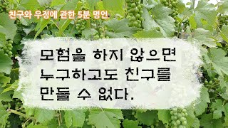 친구와 우정에 관한 5분 행복명언. \