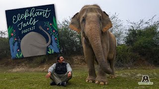 Elephant Tails EP3: Baiju Raj and his love of wildlife